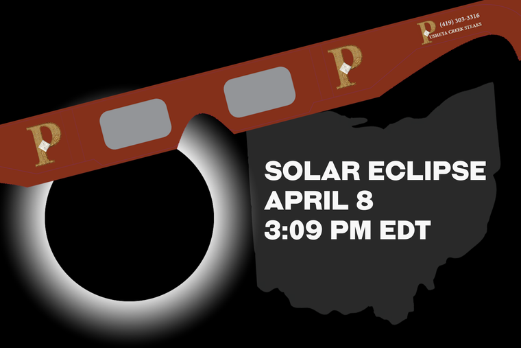 Souvenir Solar Eclipse Sunglasses
